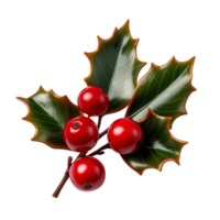 Red holly berries Ai Generative png