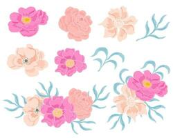 Pink and Vintage Rose and Anemone Flower vector