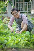 sian woman planting organic vegetable in home garden photo