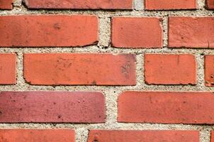 a close up of a brick wall with a few different colors photo