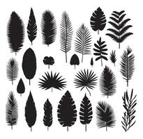 Big set of different palm leaves pattern set of black and white vector illustrations different palm leaves plants black silhouette