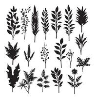 Large set of silhouettes of different field plant leaves pattern set of black and white vector illustrations different trees branches leaves black silhouette