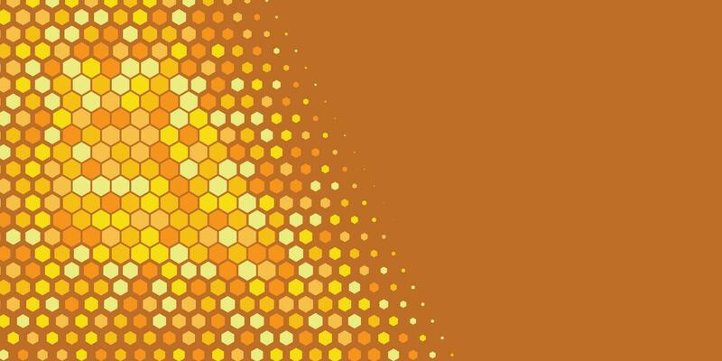 Geometric abstract Hexagon Two Color Background