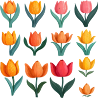 bouquet of tulips and flowers on transparent background ai generative png