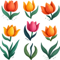 bouquet of tulips and flowers on transparent background ai generative png