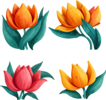 ramo de flores de tulipanes y flores en transparente antecedentes ai generativo png