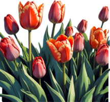 bouquet of tulips and flowers on transparent background ai generative png