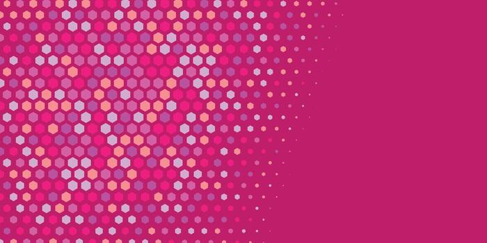 Geometric abstract Hexagon Two Color Background vector