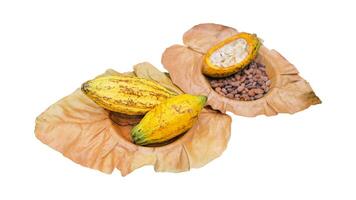 de cerca cacao Fruta en seco hojas aislar en blanco antecedentes y hacer con parte. foto