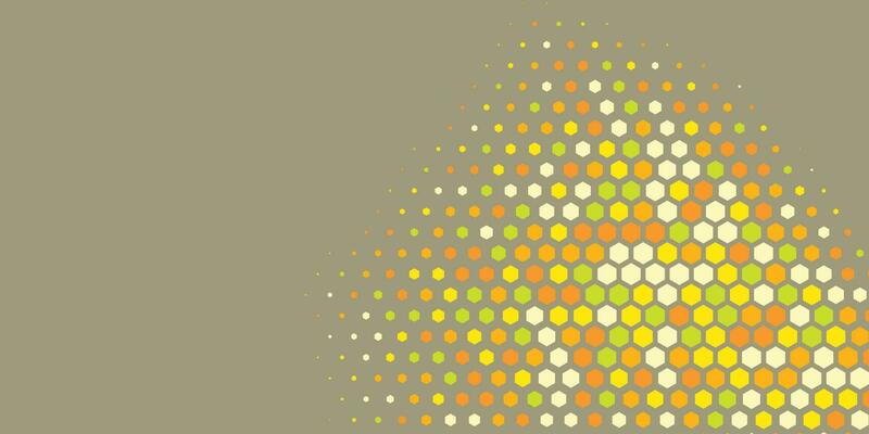 Geometric abstract Hexagon Two Color Background