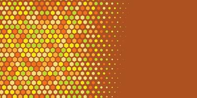 Geometric abstract Hexagon Two Color Background vector