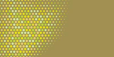 Geometric abstract Hexagon Two Color Background vector