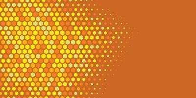 Geometric abstract Hexagon Two Color Background vector