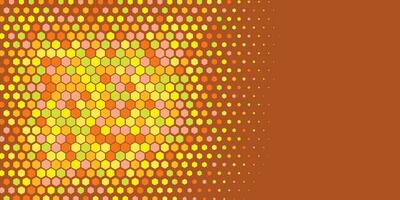 Geometric abstract Hexagon Two Color Background vector