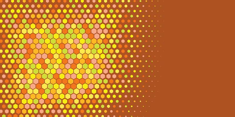 Geometric abstract Hexagon Two Color Background