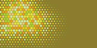 Geometric abstract Hexagon Two Color Background vector