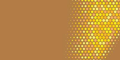 Geometric abstract Hexagon Two Color Background vector