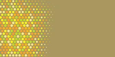 Geometric abstract Hexagon Two Color Background vector