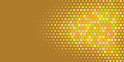 Geometric abstract Hexagon Two Color Background vector