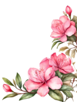 watercolor flowers with a square frame on a transparent background ai generative png