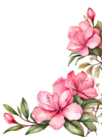 aquarelle fleurs avec une carré Cadre sur une transparent Contexte ai génératif png