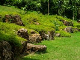 Big stones on the green grass in the park photo