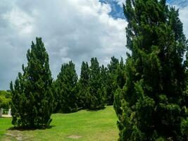 Shady central parks and trees provide shade and are ideal for exercising and relaxing during the holidays. photo