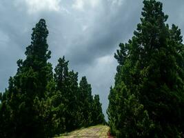 Shady central parks and trees provide shade and are ideal for exercising and relaxing during the holidays. photo