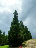 Shady central parks and trees provide shade and are ideal for exercising and relaxing during the holidays. photo