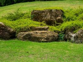 Big stones on the green grass in the park photo