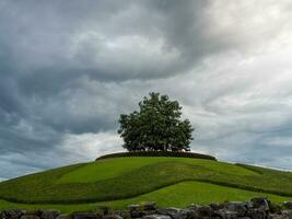 Lonely tree on a high hill, blue sky background. photo