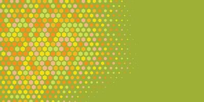 Geometric abstract Hexagon Two Color Background vector