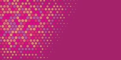 Geometric abstract Hexagon Two Color Background vector