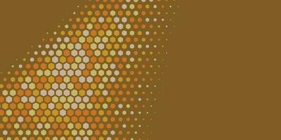 Geometric abstract Hexagon Two Color Background vector