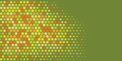 Geometric abstract Hexagon Two Color Background vector