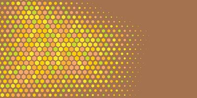 Geometric abstract Hexagon Two Color Background vector