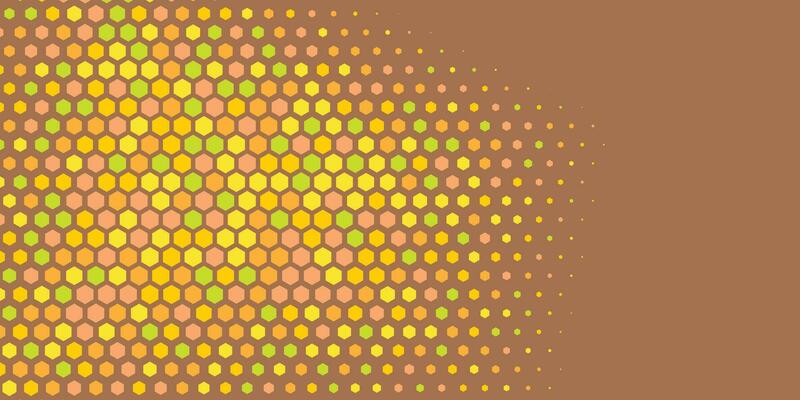 Geometric abstract Hexagon Two Color Background