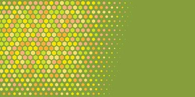 Geometric abstract Hexagon Two Color Background vector