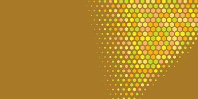 Geometric abstract Hexagon Two Color Background vector