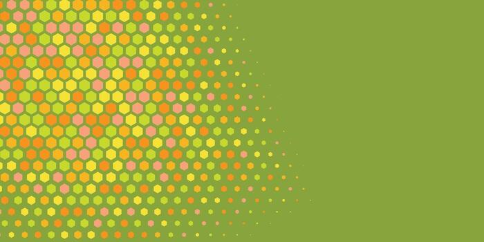 Geometric abstract Hexagon Two Color Background vector