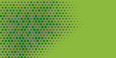 Geometric abstract Hexagon Two Color Background vector