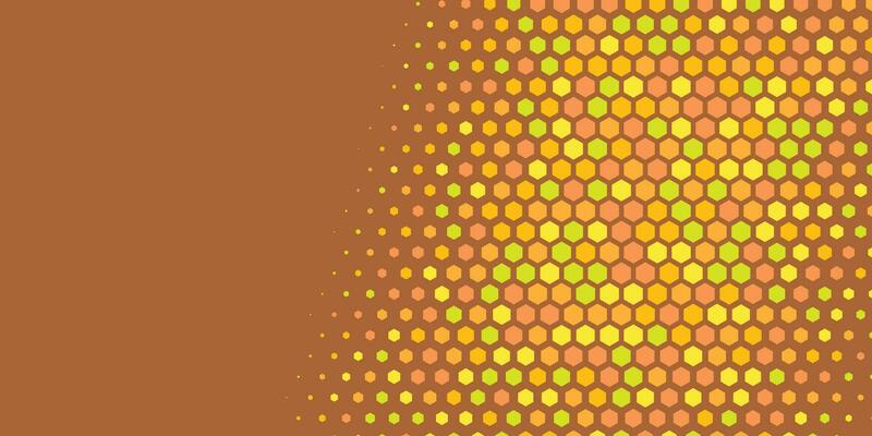 Geometric abstract Hexagon Two Color Background
