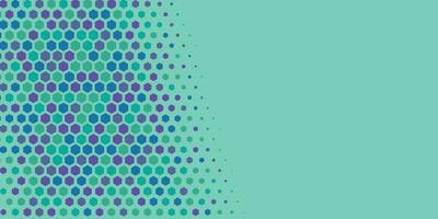 Geometric abstract Hexagon Two Color Background vector