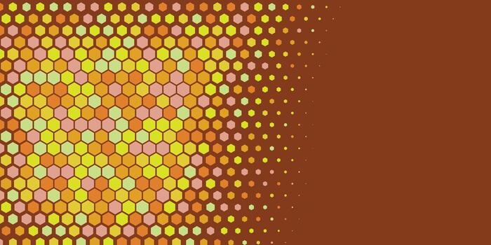 Geometric abstract Hexagon Two Color Background vector