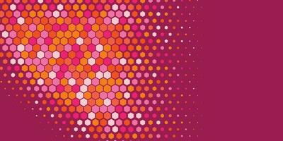 Geometric abstract Hexagon Two Color Background vector