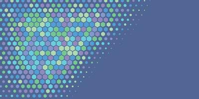 Geometric abstract Hexagon Two Color Background vector