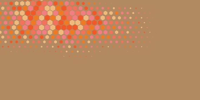 Geometric abstract Hexagon Two Color Background vector