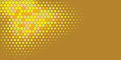 Geometric abstract Hexagon Two Color Background vector