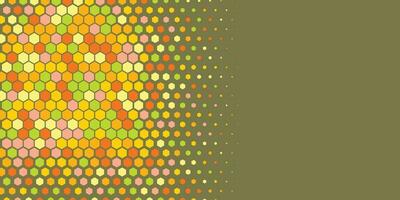 Geometric abstract Hexagon Two Color Background vector