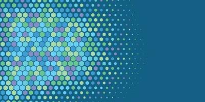 Geometric abstract Hexagon Two Color Background vector